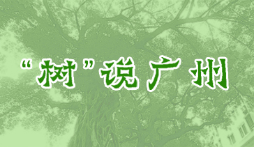 “樹”說廣州