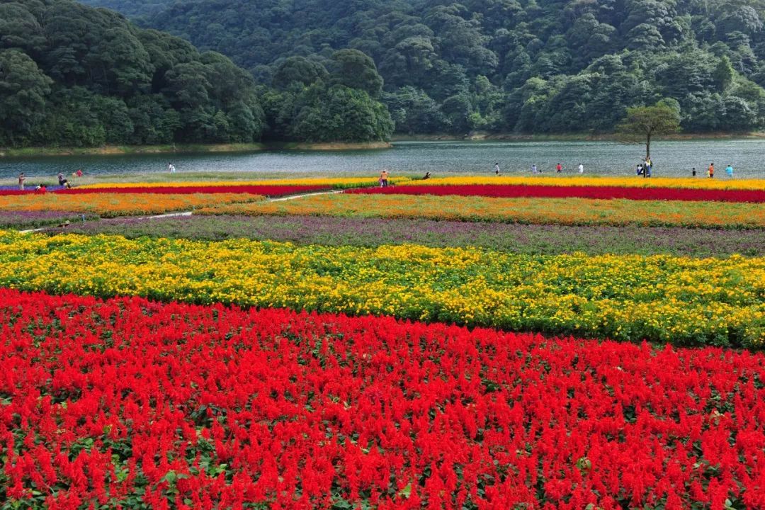 201810111539229363131548.jpg 201810111539229363131548.jpg