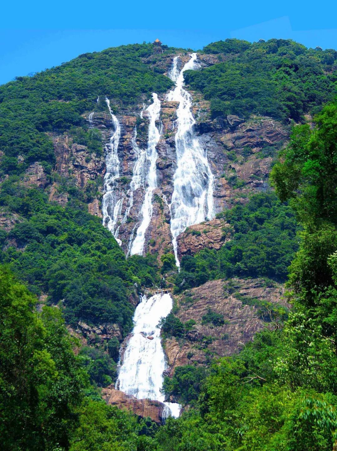 201810111539229475124951.jpg 201810111539229475124951.jpg