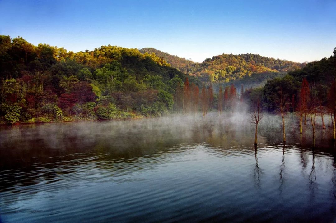 201810111539229528336121.jpg 201810111539229528336121.jpg