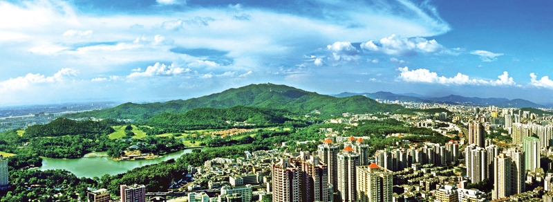 廣州長者飯堂宣傳片