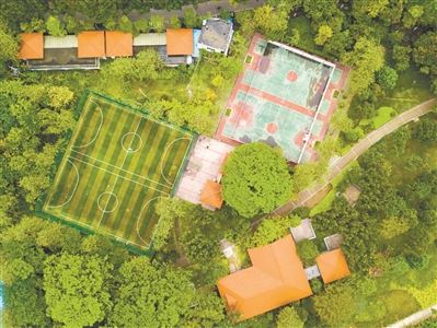 上涌果樹公園籃球場，在城市綠洲中揮灑汗水，會不會格外酣暢淋漓呢？