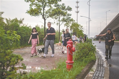 馴犬師兵兵面對面指導(dǎo)主人正確遛狗。