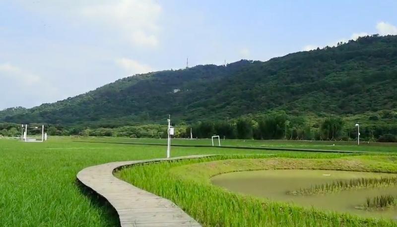 轉(zhuǎn)存圖片