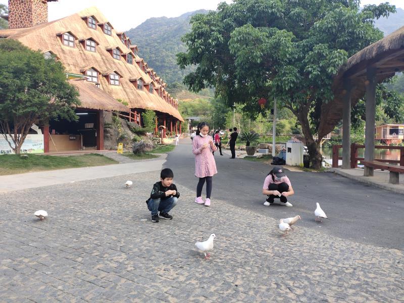 轉(zhuǎn)存圖片