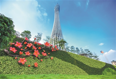 廣州塔下綠化墻，映襯著“廣州藍”，顯得分外明艷。