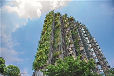 一個以“環保健康”概念設計的新型小區，植物縱向延伸，很有氣勢。