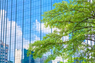 都市之中，高樓大廈間的綠意尤其顯得珍貴而宜人。