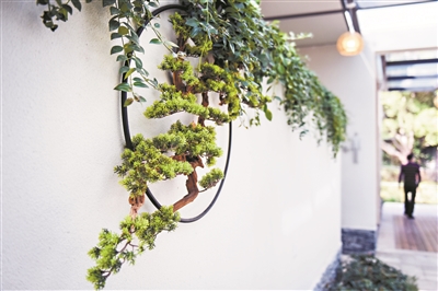 黃埔古港公廁內景綠意盎然。