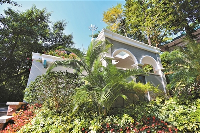 白云山山頂廣場公廁仿若置入叢林里。