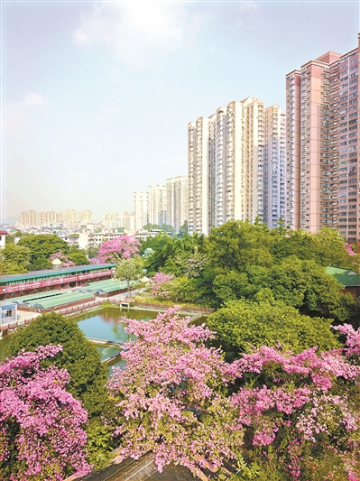 各色鮮花映襯綠葉，帶出一種宜人的層次感。