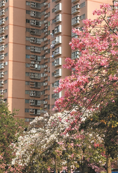 各色鮮花映襯綠葉，帶出一種宜人的層次感。1