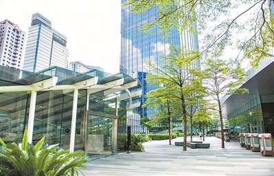 太古匯空中花園，高大樹木和低矮密集植物搭配，形成一片生態型“綠色高地”。