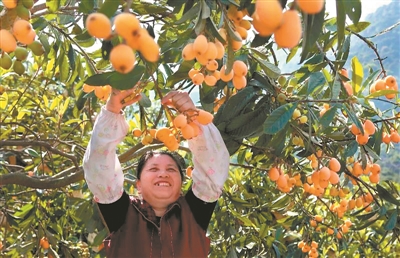 廣州市香蜜山農(nóng)業(yè)生態(tài)公園