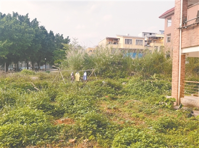 轉(zhuǎn)存圖片