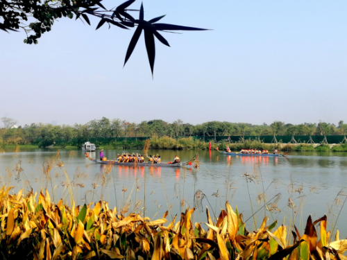 廣州用“繡花功夫”治水  提升城市精細化管理水平3713.png