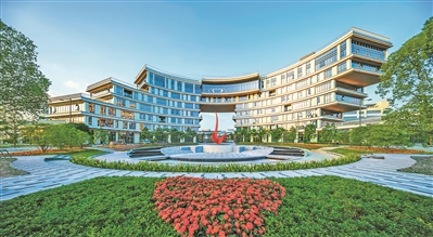 廣州舉全市之力推進《南沙方案》落地落細落實紀實