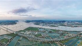 大灣區將是“你中有我，我中有你”