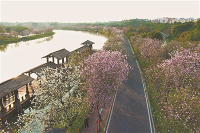 搭公交 看一路繁花