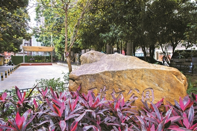 百歲坊里有百歲勵志故事