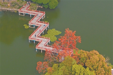 東山湖由義務建設而成