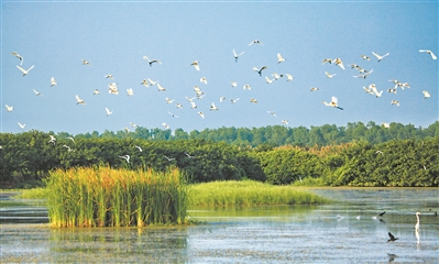 2035年前全面建成美麗南沙典范