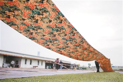 名為欖核 盛產“軟黃金”