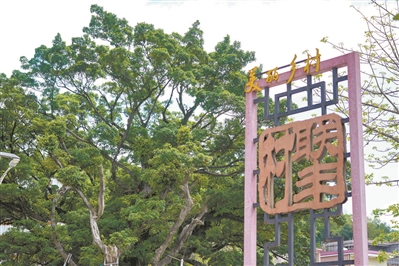 人樹“合唱” 余韻裊裊