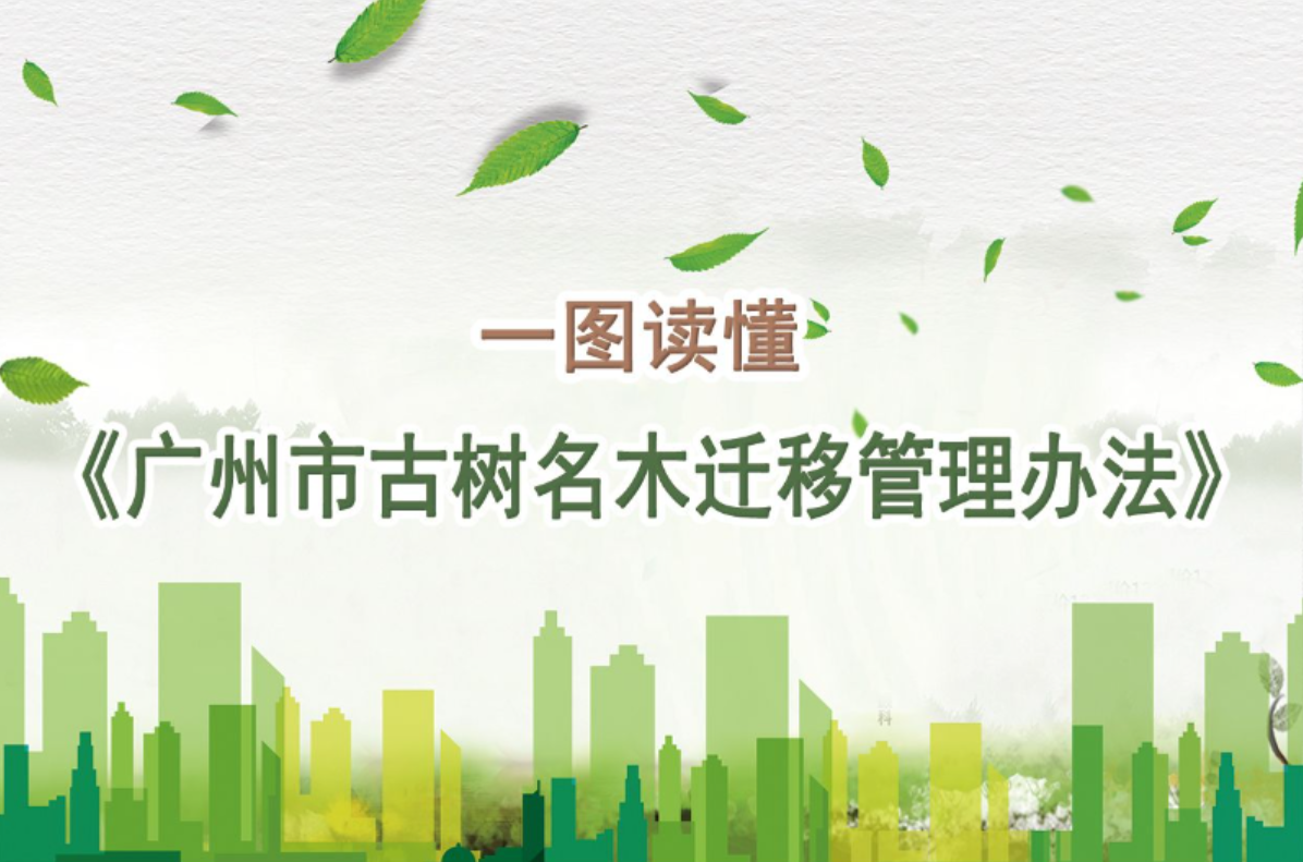 【一圖讀懂】《廣州市古樹名木遷移管理辦法》