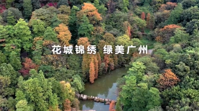 花城錦繡 綠美廣州