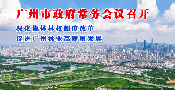 【一圖讀懂】一圖讀懂16屆63次市政府常務(wù)會議