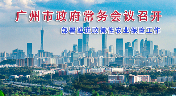【一圖讀懂】一圖讀懂16屆74次市政府常務會議