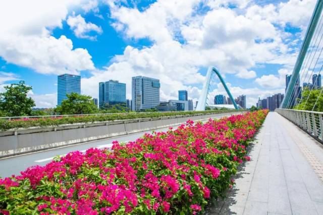 攝于：蕉門河雙橋