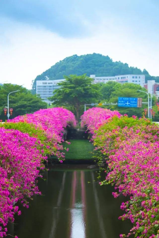 攝于：蕉門滘橋