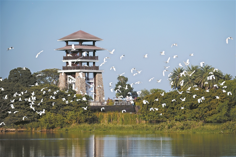 12839272_zhanghl_1730216774694_s