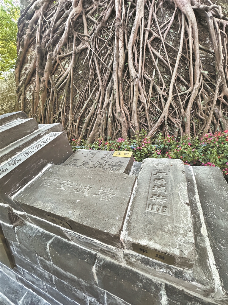 12884758_huangwx_1730981625438_s