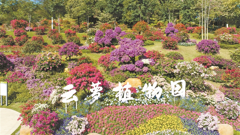 12985886_huangwx_1732709997294_s