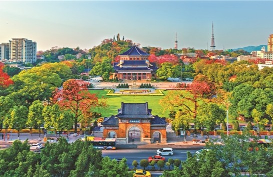 花開羊城 春暖萬家