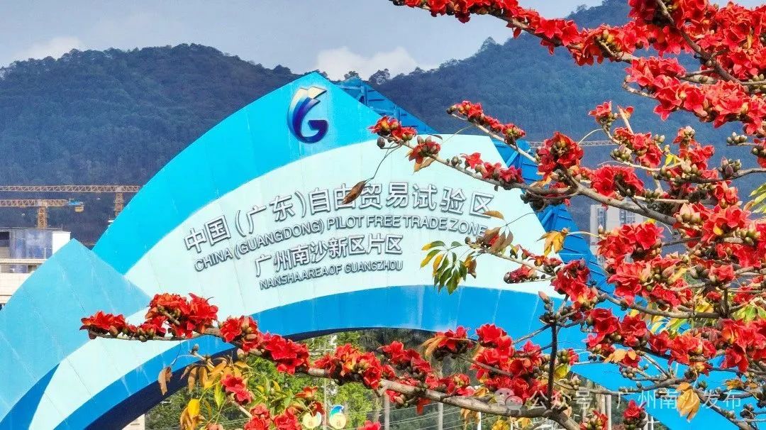 廣東省廣州南沙建設發(fā)展工作委員會全體會議和主任會議召開