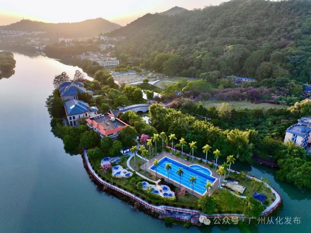 荔枝正紅時(shí) 從化“三月紅”搶鮮開摘!_fororder_2