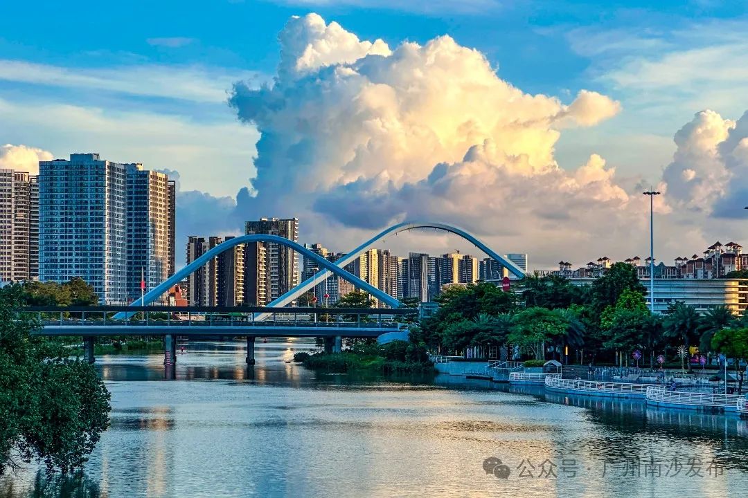 孫志洋到南沙區開展專題調研