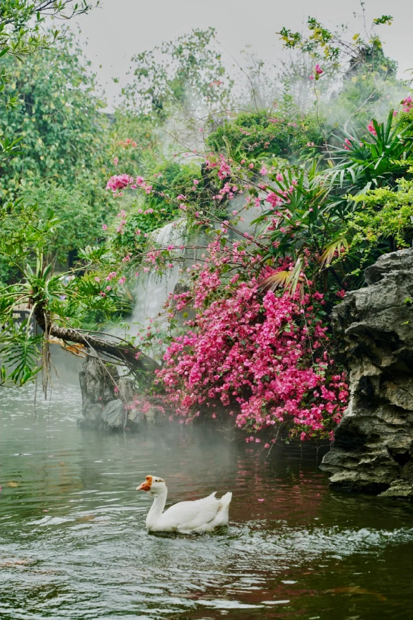 雨天的廣州余蔭山房,拍照太有氛圍感了!_3_小桑哥_來(lái)自小紅書(shū)網(wǎng)頁(yè)版.jpg