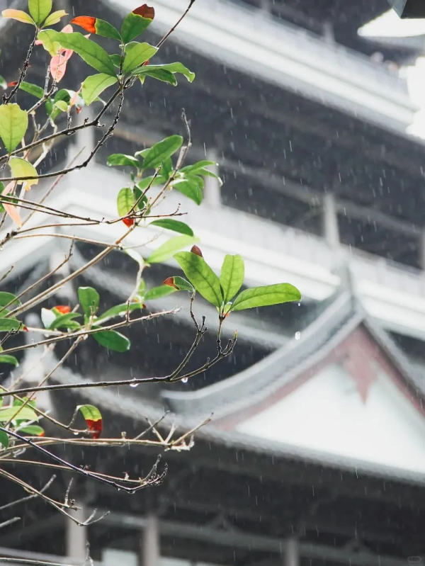 ??下雨天廣州市文化館的打開(kāi)方式_6_廣州市文化館_來(lái)自小紅書(shū)網(wǎng)頁(yè)版.jpg