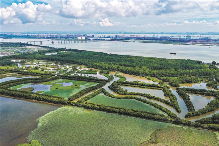 廣州攜越秀南沙入選自然城市行動(dòng)平臺(tái)