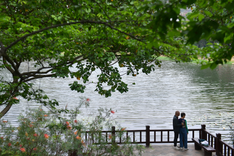 以綠為底，以花為媒！廣州公園景區80余項1400多場活動“慶國慶、迎全運”