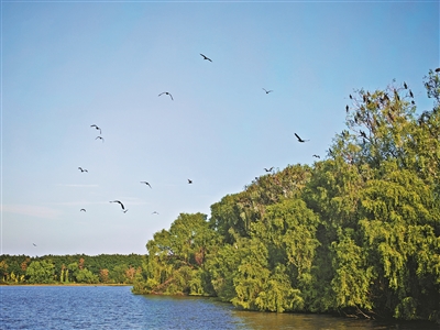 第二十屆中國經濟論壇嘉賓點贊南沙發展活力